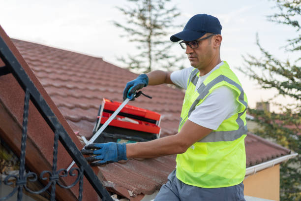 Best Batt and Roll Insulation  in New Lenox, IL